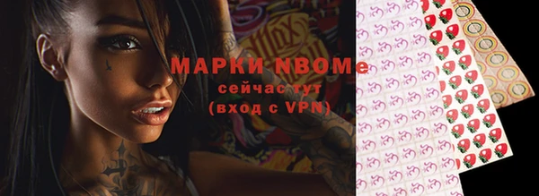 твердый Медногорск