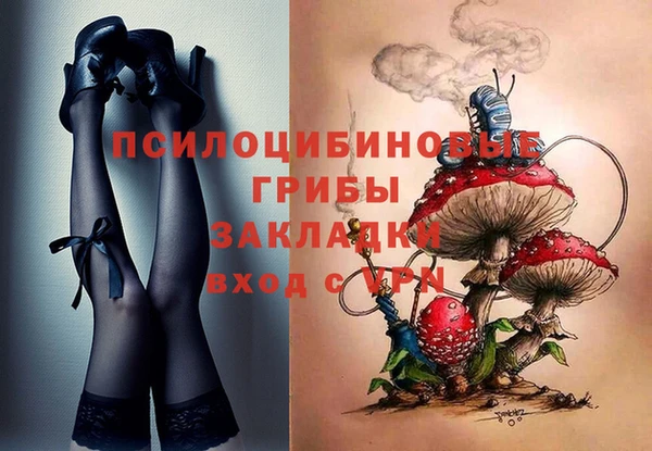 твердый Медногорск