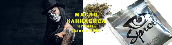 герыч Мегион