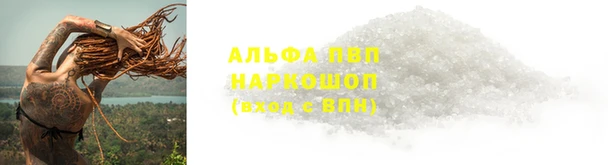 ECSTASY Медвежьегорск