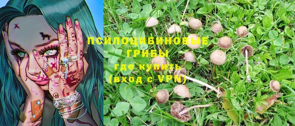 твердый Медногорск